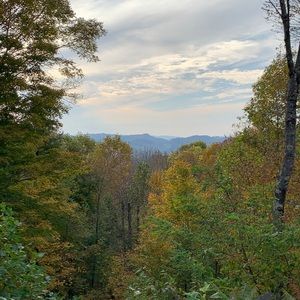 Meet your Posher, Marti